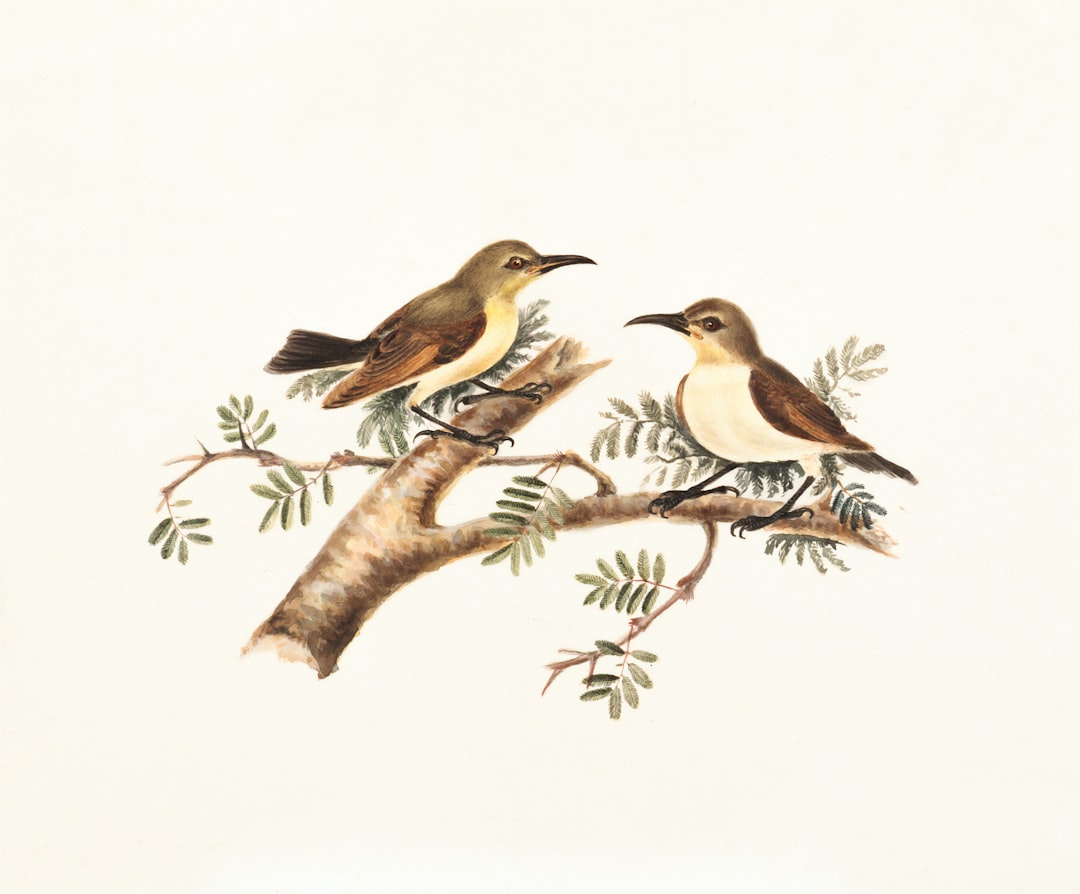 Two small birds, much like professionals in financial PR, perched on a branch with green leaves against a pristine white background.