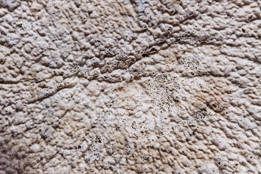 Close-up of a textured beige surface with irregular patterns and patches, resembling natural stone or rough plaster, each line telling its own non-profit storytelling journey.