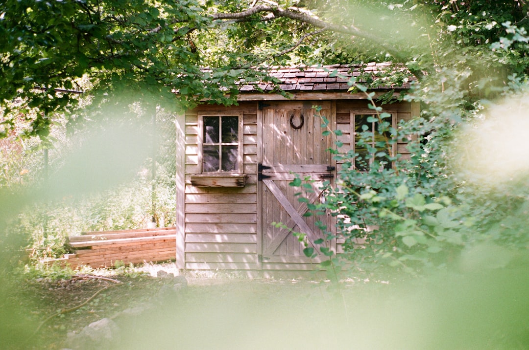 Wooden shed with a shingled roof and a horseshoe on the door, nestled amongst green foliage; a patch of sunlight illuminates this authentic scene, much like the clarity sought in finance.
